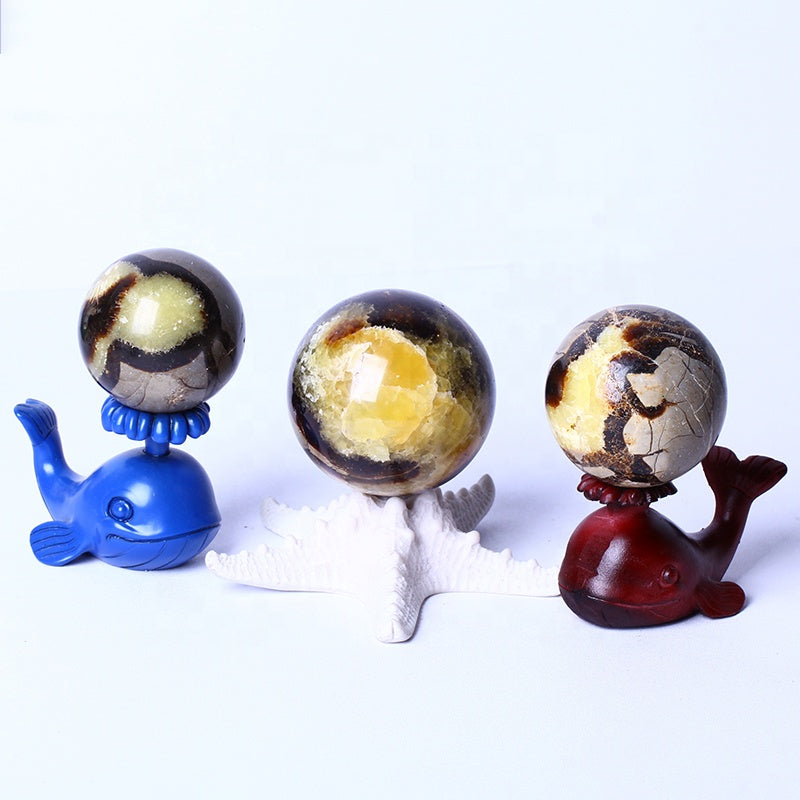 Natural High Quality Healing Gemstone Balls Natural Stone Septarium Spheres For Home Decoration
