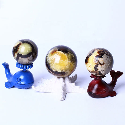 Natural High Quality Healing Gemstone Balls Natural Stone Septarium Spheres For Home Decoration