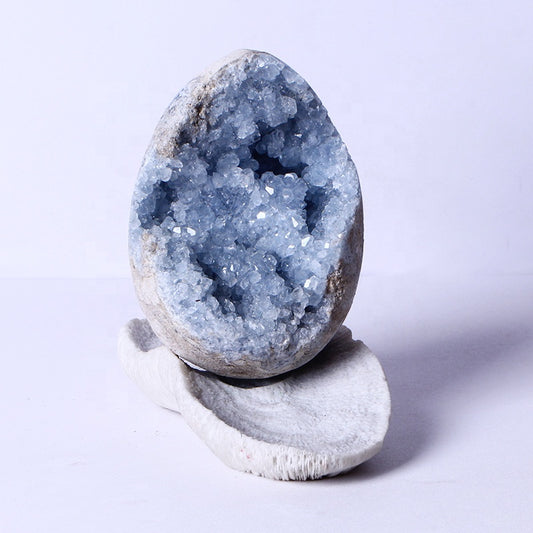 Wholesale Healing Natural High Quality Quartz Crystal Crafts Celestite Cluster Egg For Home Decoration