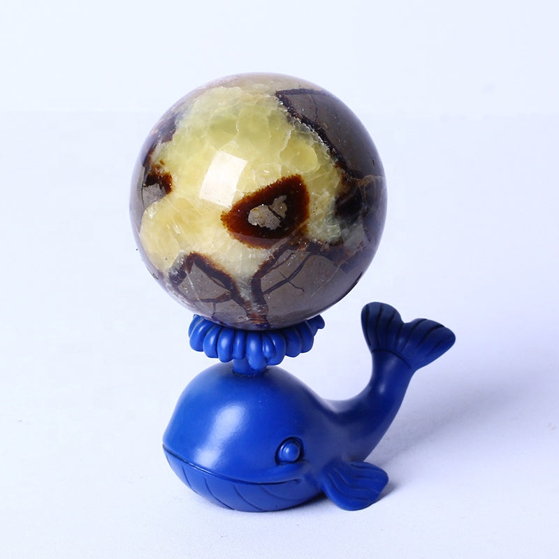 Natural High Quality Healing Gemstone Balls Natural Stone Septarium Spheres For Home Decoration